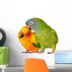Loving Conure Parrots Wall Decal