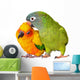 Loving Conure Parrots Wall Decal