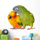 Loving Conure Parrots Wall Decal