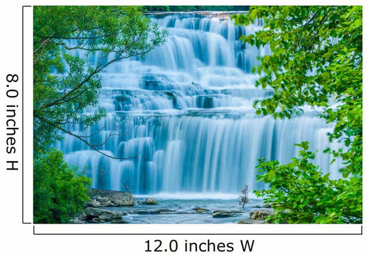 Water Falls Wall Mural