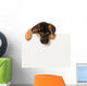 Schäferhundwelpe Wall Decal