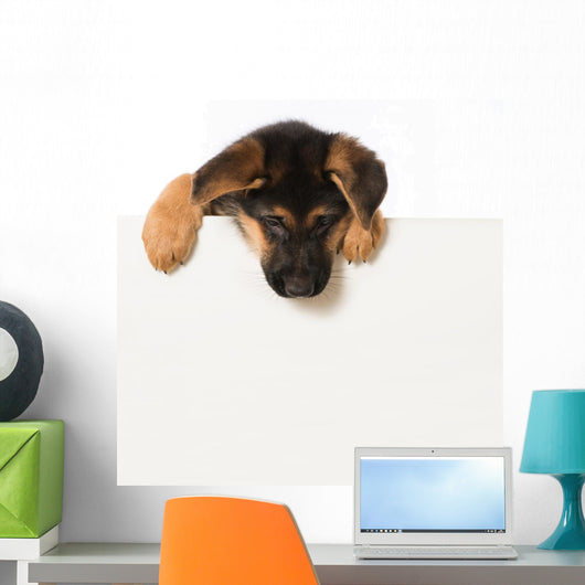 Schäferhundwelpe Wall Decal