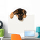 Schäferhundwelpe Wall Decal