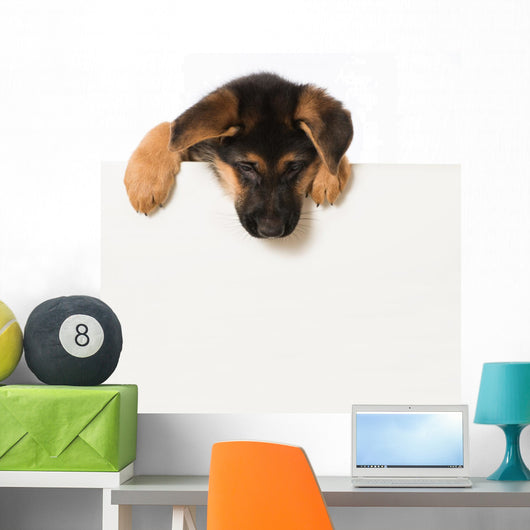 Schäferhundwelpe Wall Decal