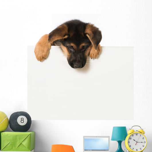 Schäferhundwelpe Wall Decal