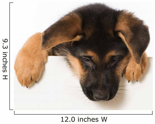 Schäferhundwelpe Wall Decal
