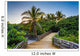 Palm Trees along Boardwalk Wall Decal