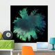 Fisheye of northern lights Wall Mural