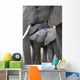 African Elephant Wall Mural