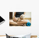 woman holding dog in yoga class Wall Mural