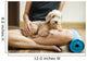 woman holding dog in yoga class Wall Mural