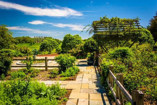 Gardens at the National Arboretum in Washington, DC. Wall Mural