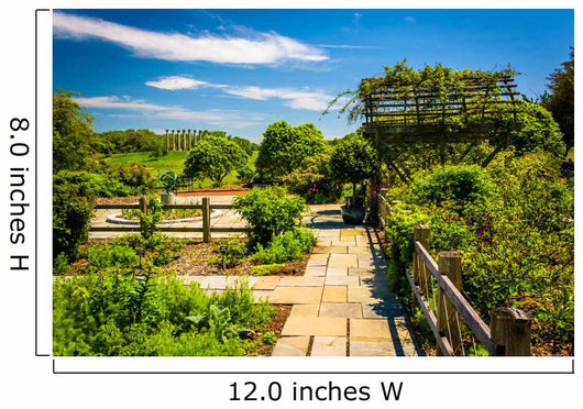 Gardens at the National Arboretum in Washington, DC. Wall Mural