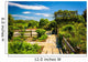 Gardens at the National Arboretum in Washington, DC. Wall Mural
