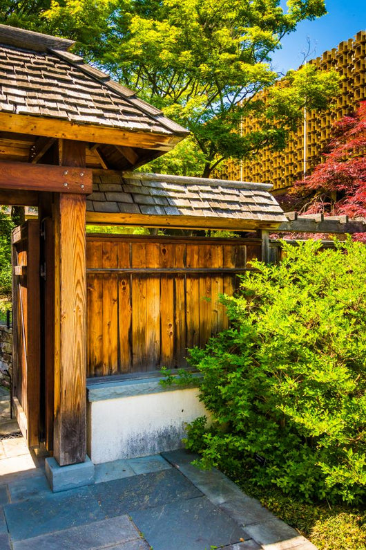 Gate to the National Bonsai & Penjing Museum at the National Arb Wall Mural