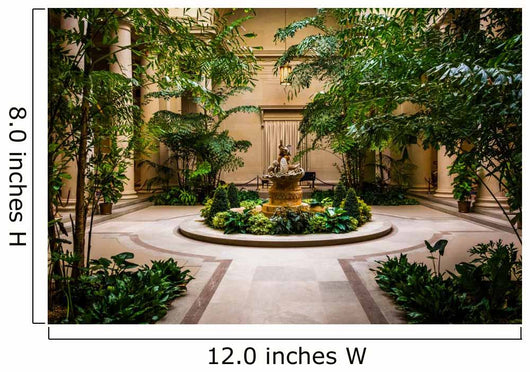 Indoor garden area in the National Gallery of Art in Washington, Wall Mural