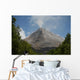 Arenal Volcano Wall Mural