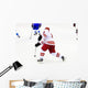 ice hockey player Wall Mural