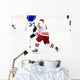 ice hockey player Wall Mural