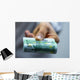 100 euro Wall Mural