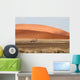 Sossusvlei park, Namibia Wall Mural