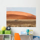 Sossusvlei park, Namibia Wall Mural