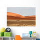 Sossusvlei park, Namibia Wall Mural