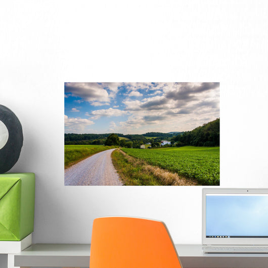 Cloudy sky over a dirt road and farm fields in rural York County Wall Mural