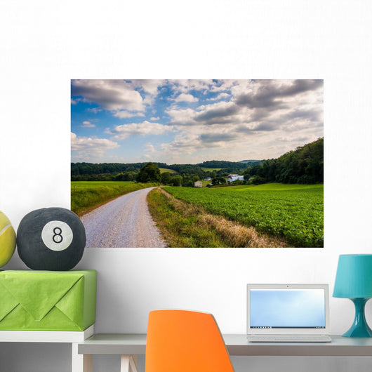 Cloudy sky over a dirt road and farm fields in rural York County Wall Mural