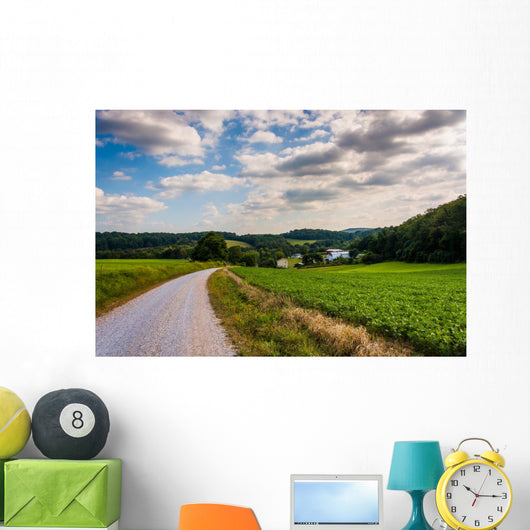 Cloudy sky over a dirt road and farm fields in rural York County Wall Mural