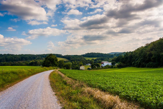 Cloudy sky over a dirt road and farm fields in rural York County Wall Mural
