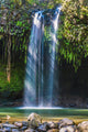 Sunlight Through Waterfall Wall Mural