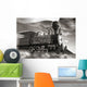 Train Wall Mural