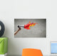 Megaphone in hand Wall Mural