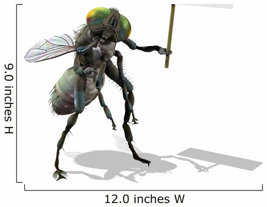 Giant Fly with Blank Sign Wall Decal