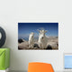 Mountain Goats in Colorado Wall Mural