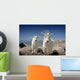 Mountain Goats in Colorado Wall Mural