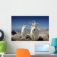 Mountain Goats in Colorado Wall Mural