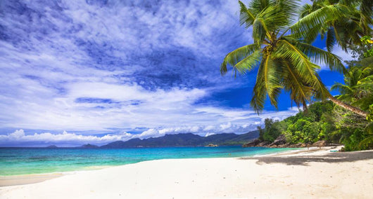 scenic Seychelles Beach Wall Mural