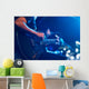 Guitarist on stage for background, soft and blur concept Wall Mural