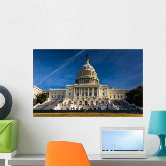 The United States Capitol, Washington, DC. Wall Mural