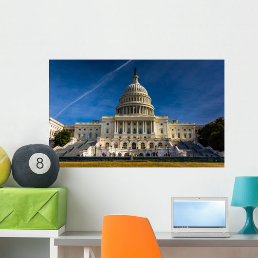 The United States Capitol, Washington, DC. Wall Mural