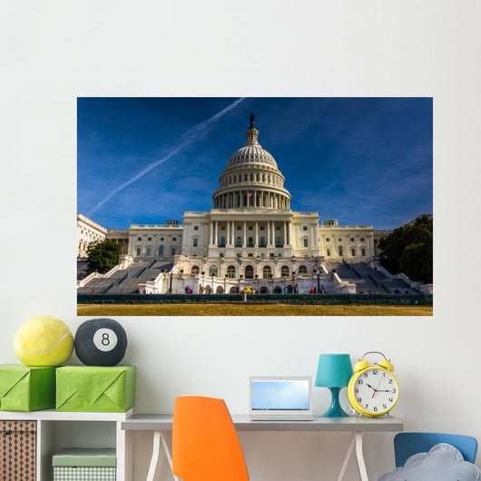 The United States Capitol, Washington, DC. Wall Mural
