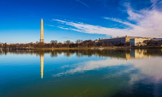 The Washington Monument Wall Mural