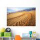 Motocross and auto sport track on blue sky background. Wheel tra Wall Mural
