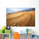 Motocross and auto sport track on blue sky background. Wheel tra Wall Mural
