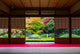 Japanese garden Wall Mural