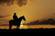 Cowboy Silhouette