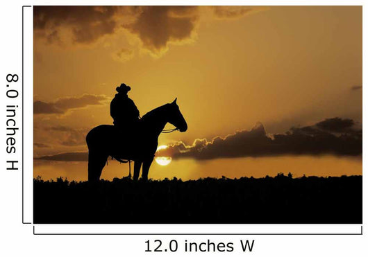 Cowboy Silhouette
