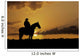 Cowboy Silhouette